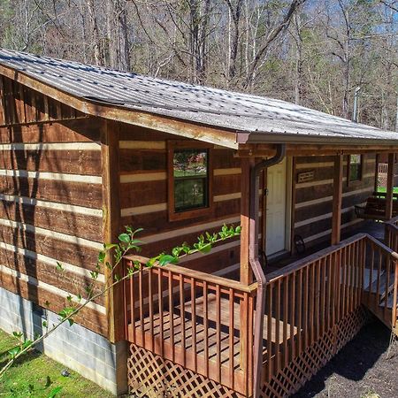 Creekside Memories Cabin Cosby Екстер'єр фото